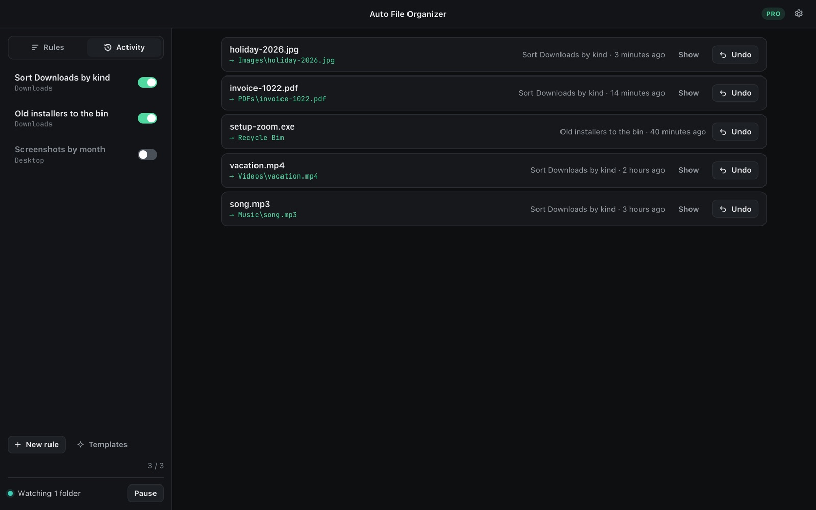 The activity log with Undo for every sorted file